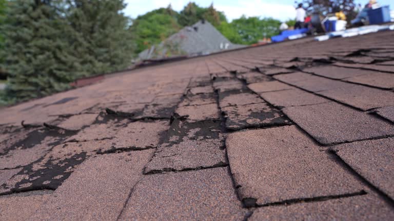 Best Solar Panel Roofing Installation  in Califon, NJ